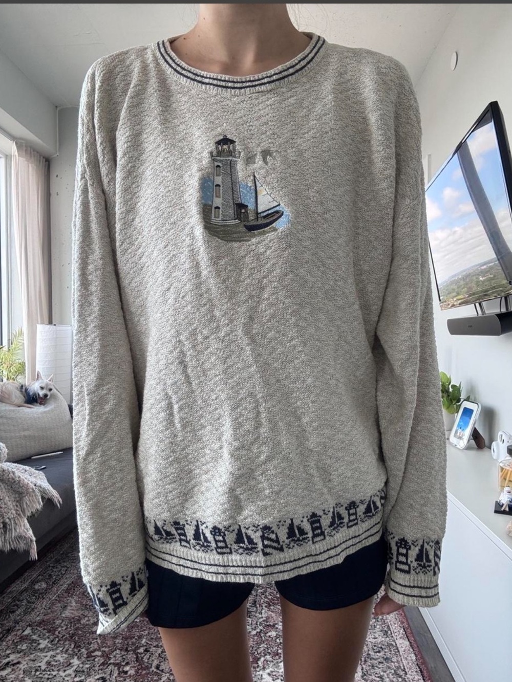 Men's Light Gray Nautical Embroidered Sweater